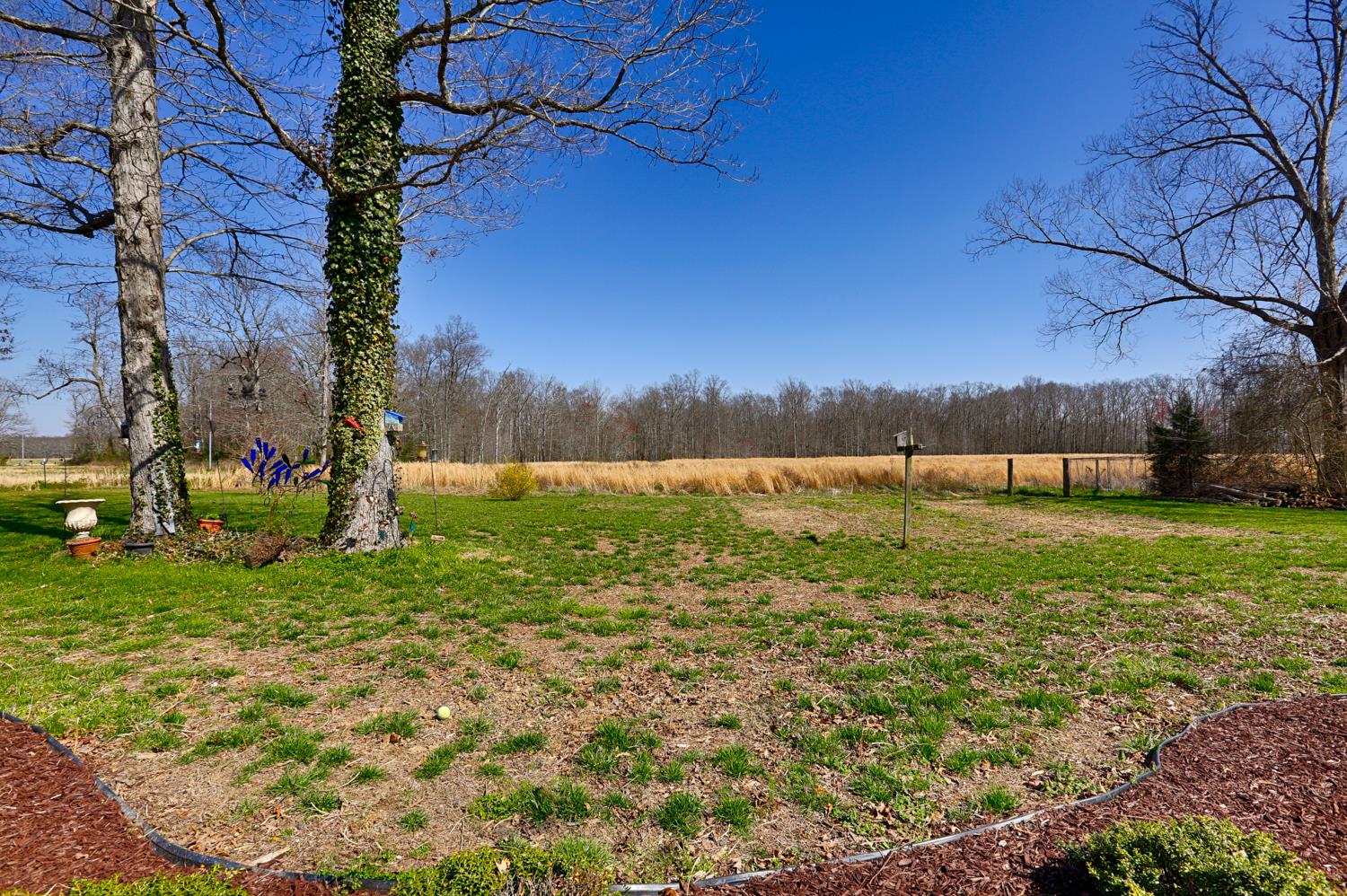 106 Power Station Road Taft, TN 38488 - Photo 6 of 30