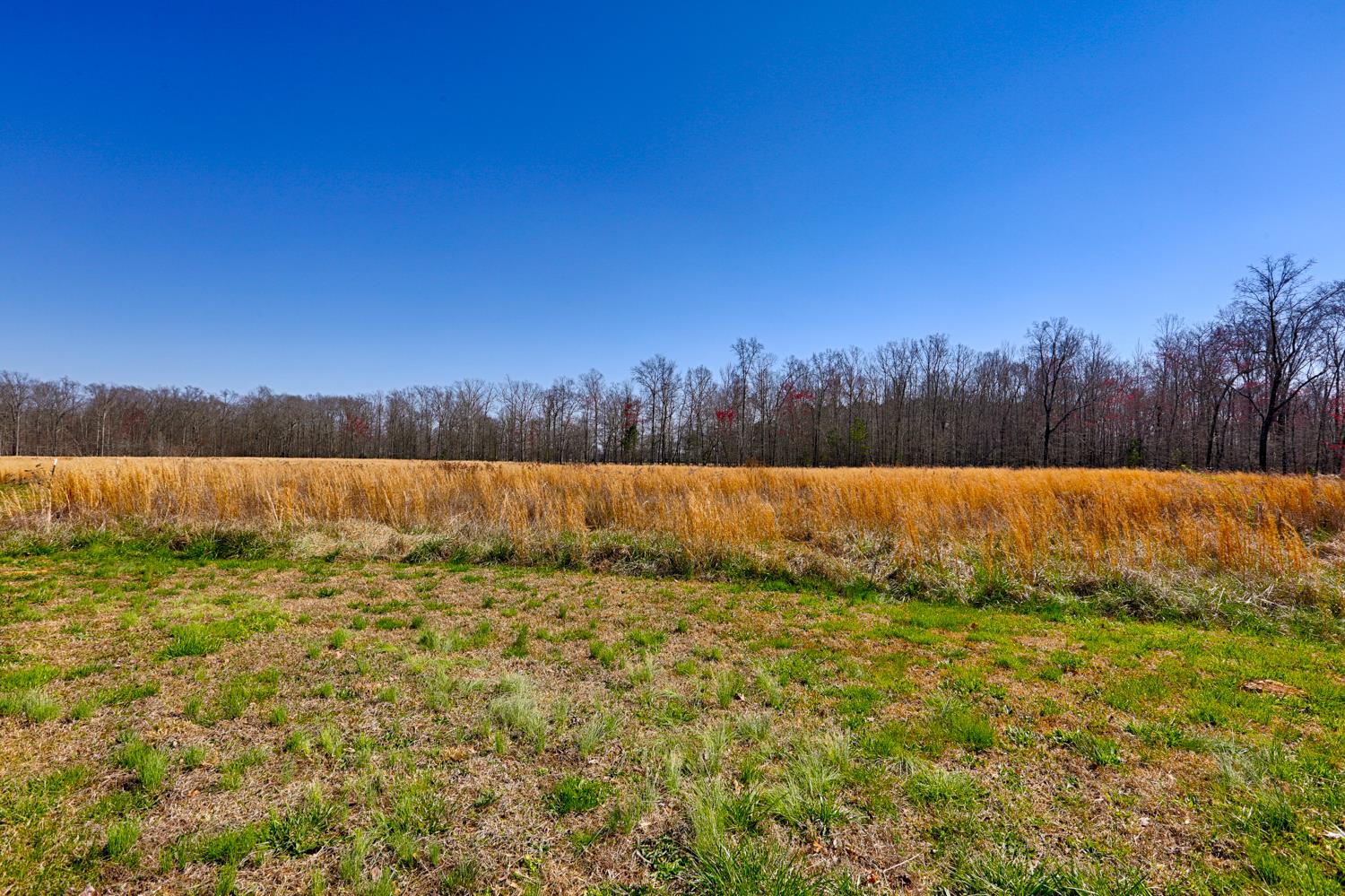 106 Power Station Road Taft, TN 38488 - Photo 10 of 30