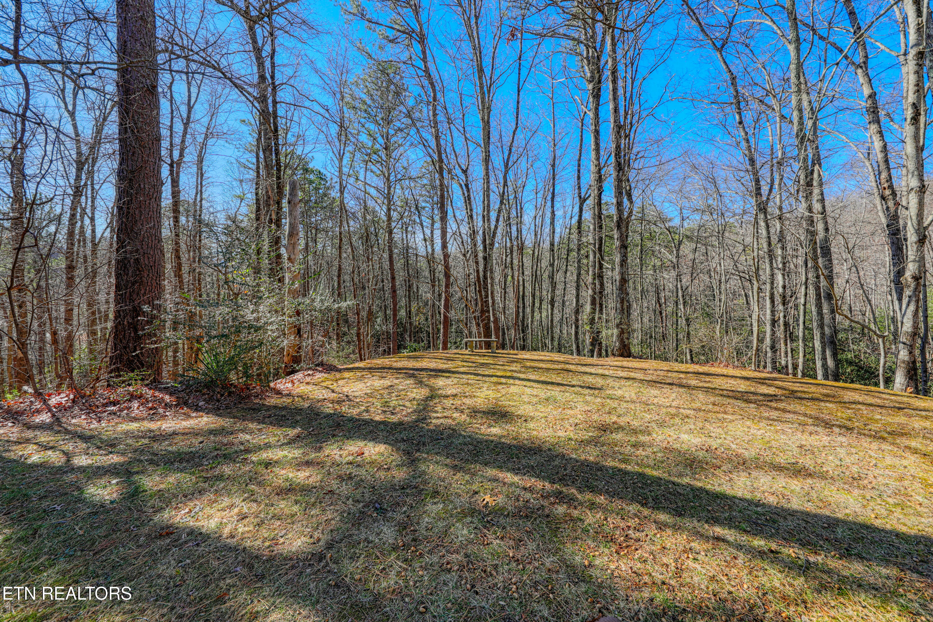 1081 Cove Road, Unit 1034 Sevierville, TN 37876 - Photo 22 of 26 0H3A9719_59