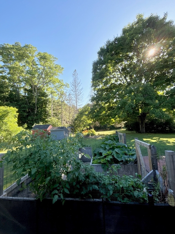 29 Old Ferry Road Haverhill, MA 01830 - Photo 35 of 42 a view of a garden with houses