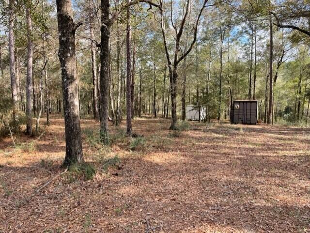 278 Elmwood Road DeFuniak Springs, FL 32433 - Photo 25 of 29 a21