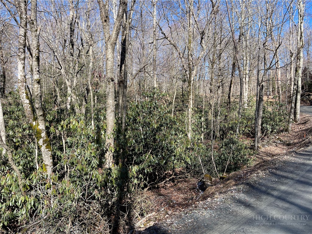 252 Greenbriar Road Beech Mountain, NC 28604 - Photo 4 of 17