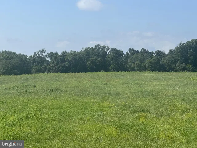 a view of a field with trees in background