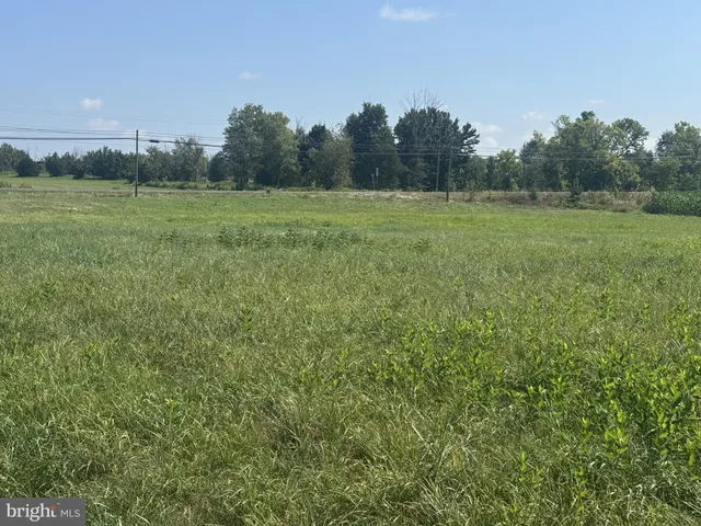 a view of an outdoor space and a yard