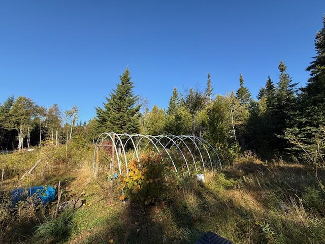 Lot 25 Boot Cove Road Lubec, ME 04652 - Photo 14 of 32 IMG_6016