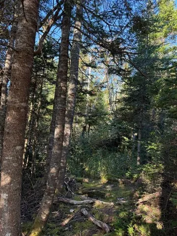 $155,900 | Lot 25 Boot Cove Road, Lubec, ME 04652