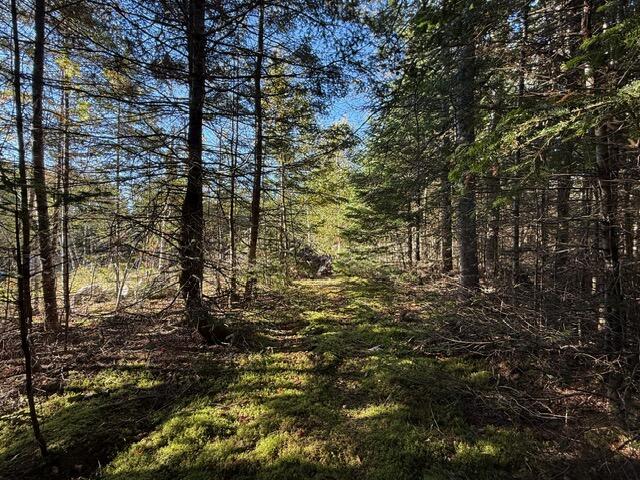 Lot 25 Boot Cove Road Lubec, ME 04652 - Photo 17 of 32 IMG_6030