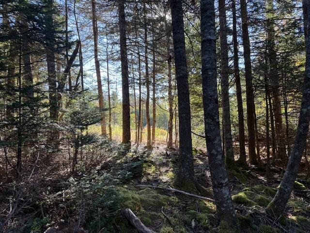 Lot 25 Boot Cove Road Lubec, ME 04652 - Photo 20 of 32 IMG_6039 (1)