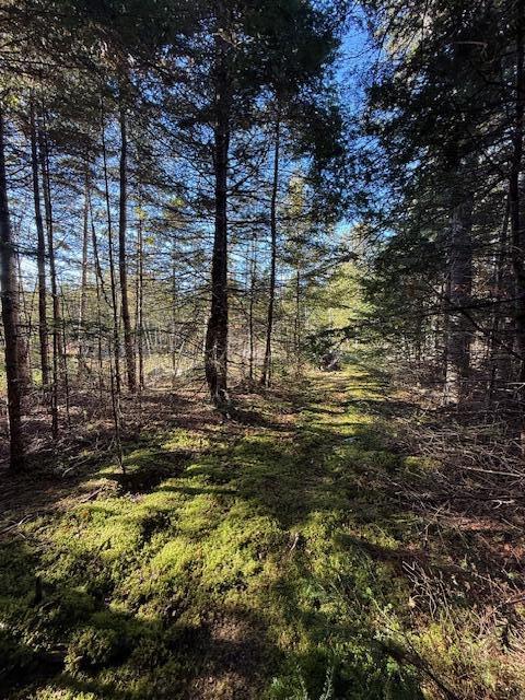 Lot 25 Boot Cove Road Lubec, ME 04652 - Photo 21 of 32 IMG_5995