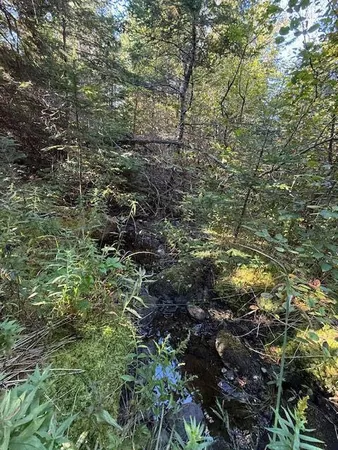 $155,900 | Lot 25 Boot Cove Road, Lubec, ME 04652