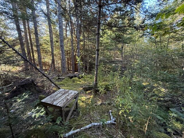 Lot 25 Boot Cove Road Lubec, ME 04652 - Photo 23 of 32 IMG_6033