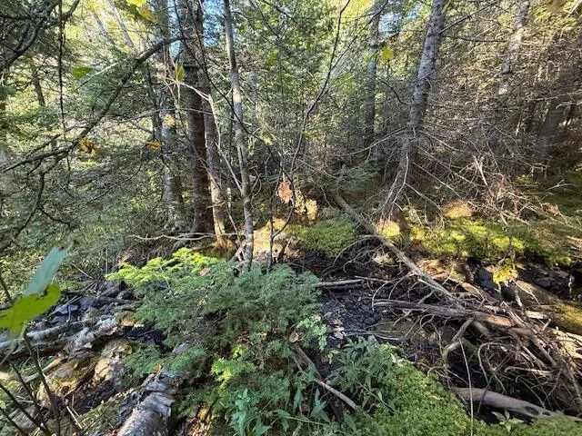 $155,900 | Lot 25 Boot Cove Road, Lubec, ME 04652