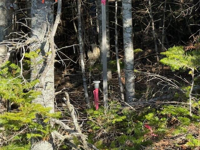 Lot 25 Boot Cove Road Lubec, ME 04652 - Photo 25 of 32 IMG_6007