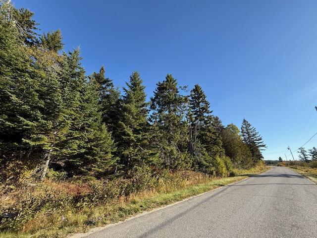 Lot 25 Boot Cove Road Lubec, ME 04652 - Photo 28 of 32 IMG_6009