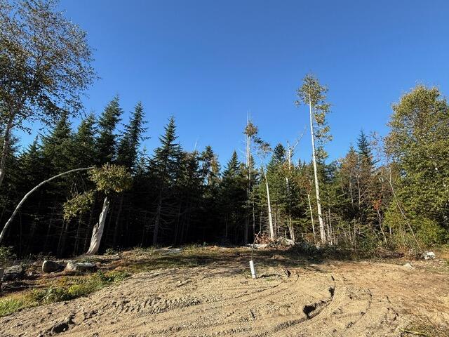 Lot 25 Boot Cove Road Lubec, ME 04652 - Photo 7 of 32 IMG_6025