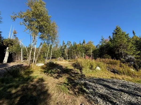 $155,900 | Lot 25 Boot Cove Road, Lubec, ME 04652