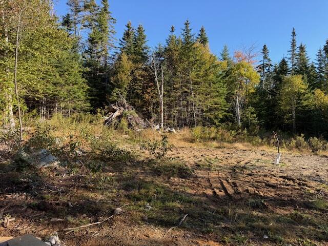 Lot 25 Boot Cove Road Lubec, ME 04652 - Photo 9 of 32 IMG_5999