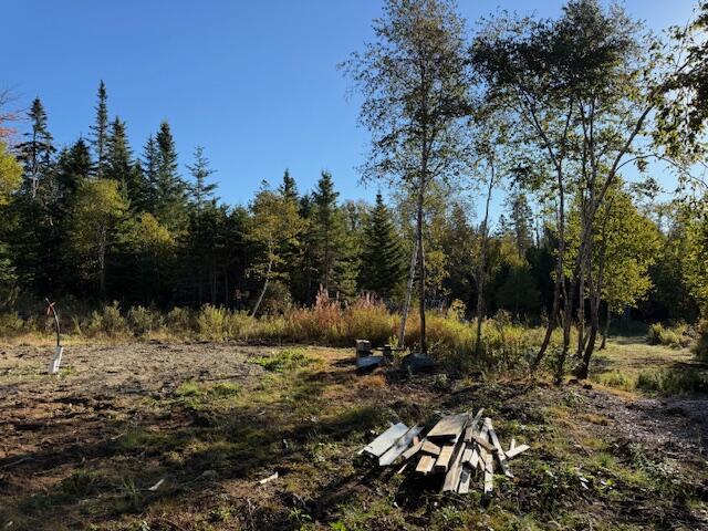 Lot 25 Boot Cove Road Lubec, ME 04652 - Photo 10 of 32 IMG_6002