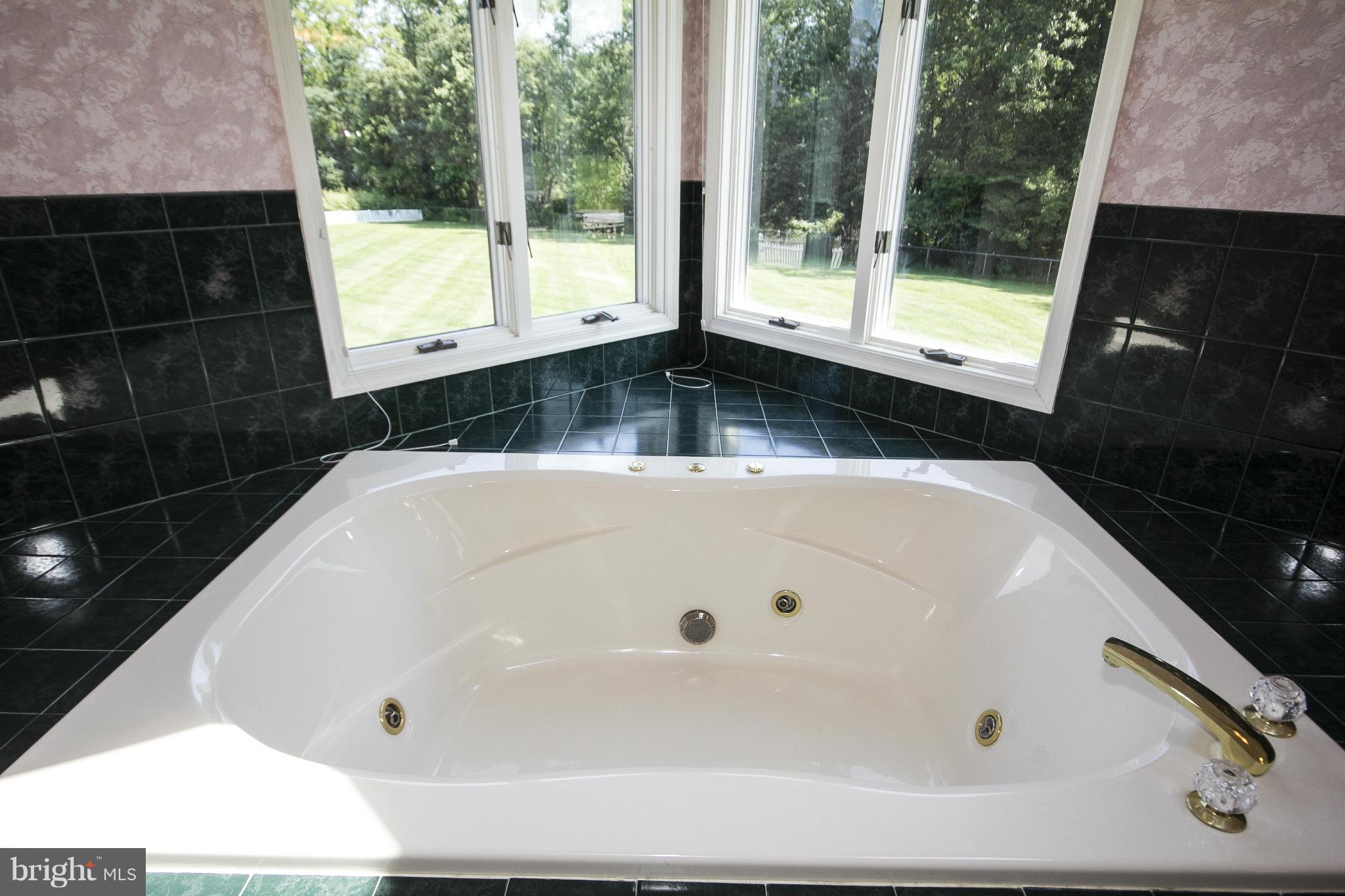 2839 Troyer Road White Hall, MD 21161 - Photo 13 of 30 Bath (Master)