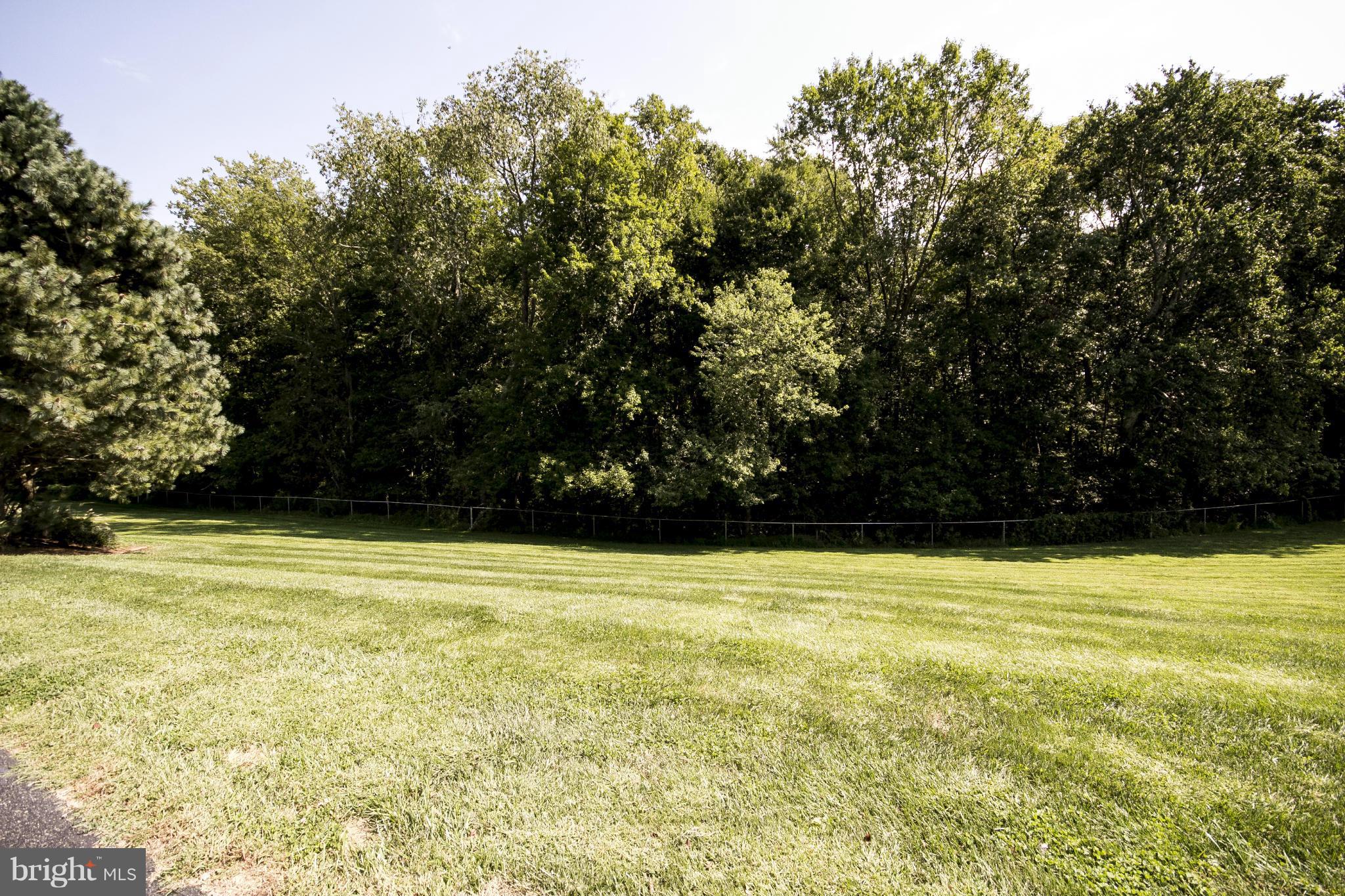 2839 Troyer Road White Hall, MD 21161 - Photo 24 of 30 side lawn