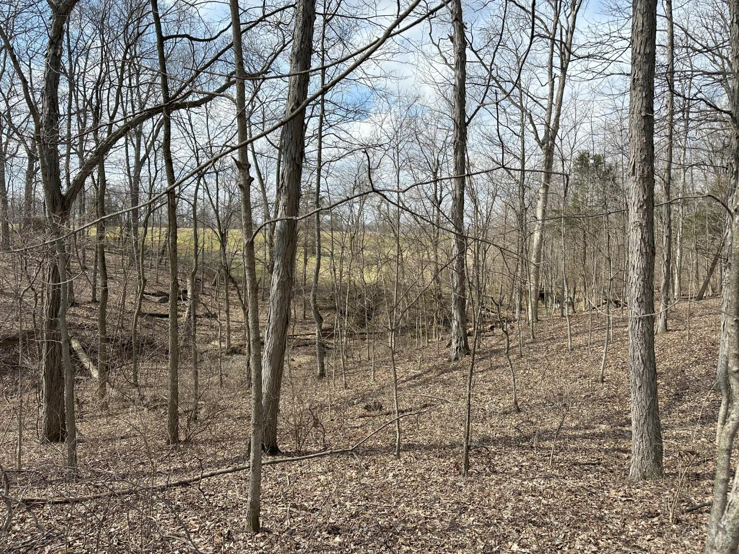 0 Wilson Road Winchester, OH 45697 - Photo 11 of 69