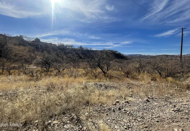 a view of a dry yard with mountains in the background