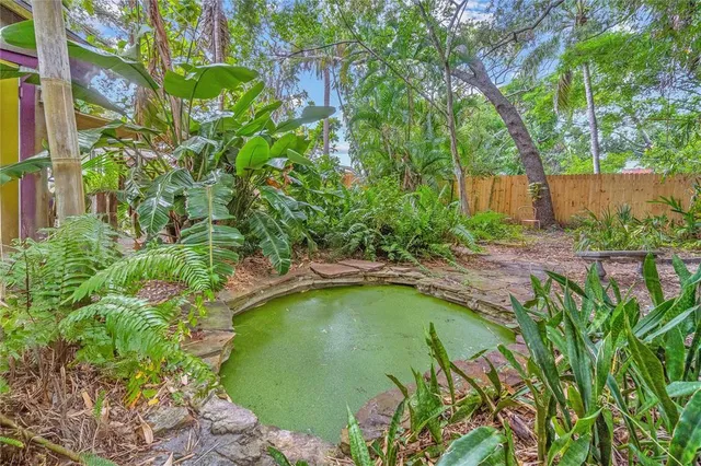 a view of backyard with plants and trees