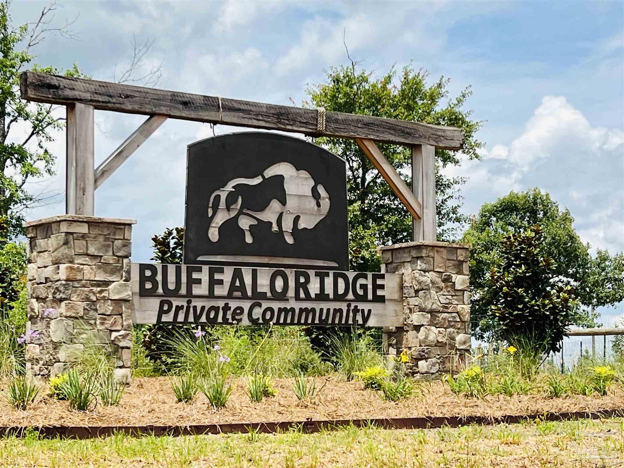 Lot 35 Buffalo Ridge Road Pace, FL 32571 - Photo 1 of 31