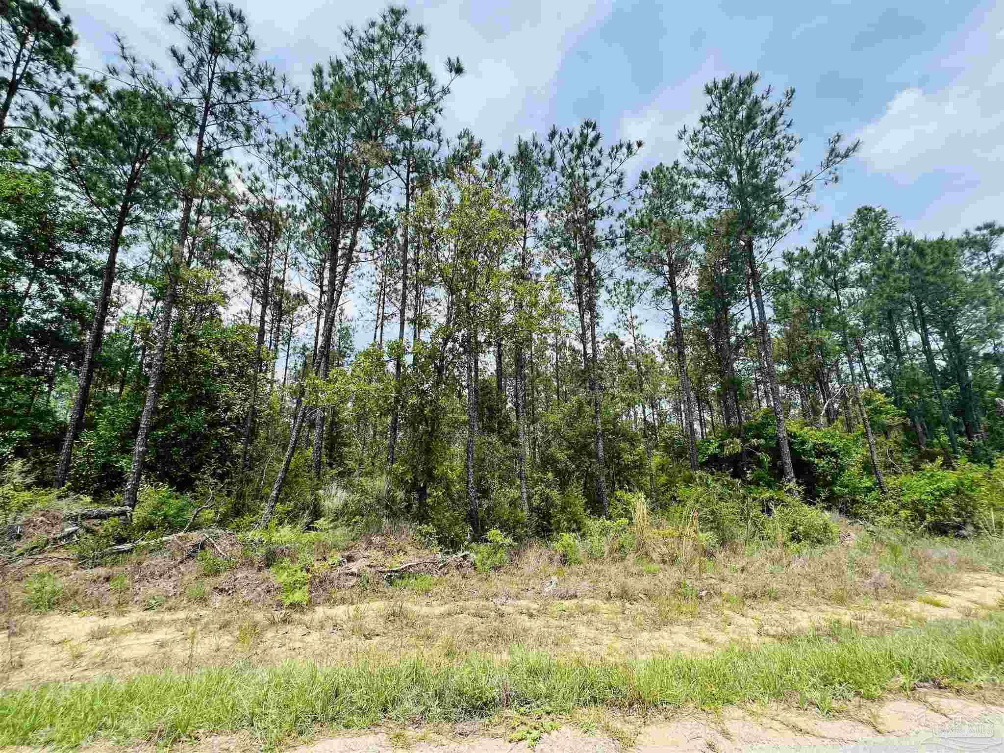 Lot 35 Buffalo Ridge Road Pace, FL 32571 - Photo 11 of 31