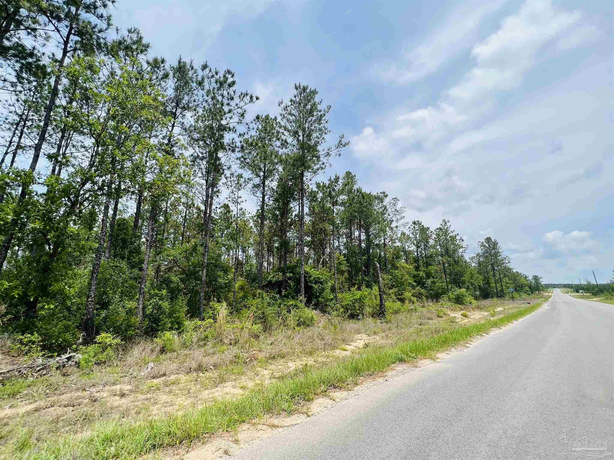 Lot 35 Buffalo Ridge Road Pace, FL 32571 - Photo 13 of 31