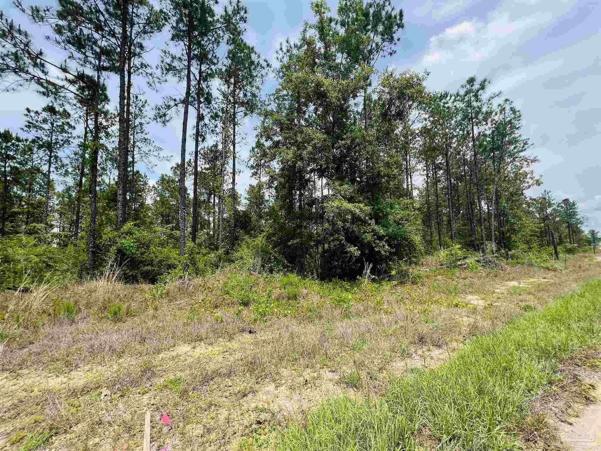 Lot 35 Buffalo Ridge Road Pace, FL 32571 - Photo 15 of 31