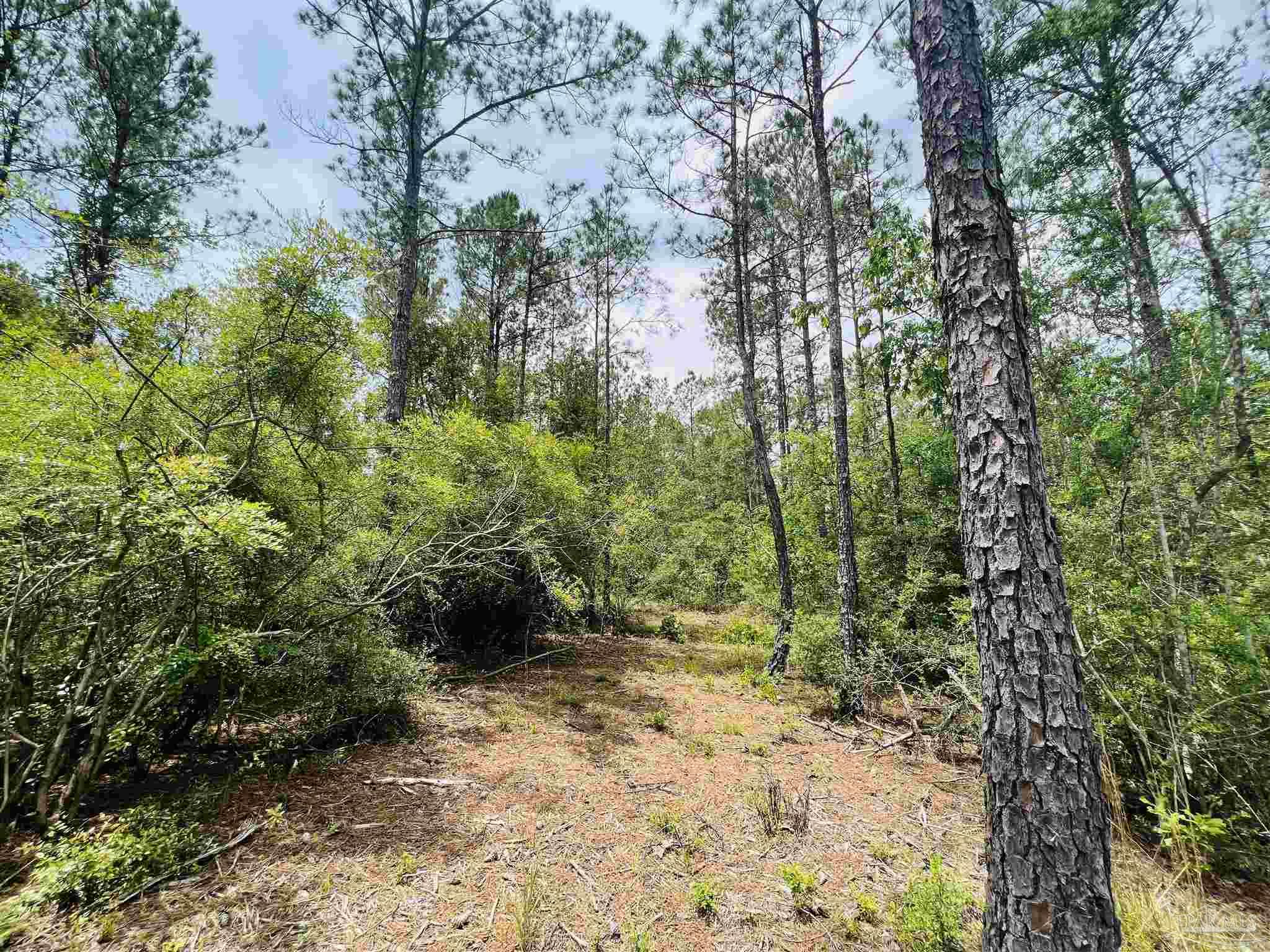 Lot 35 Buffalo Ridge Road Pace, FL 32571 - Photo 16 of 31