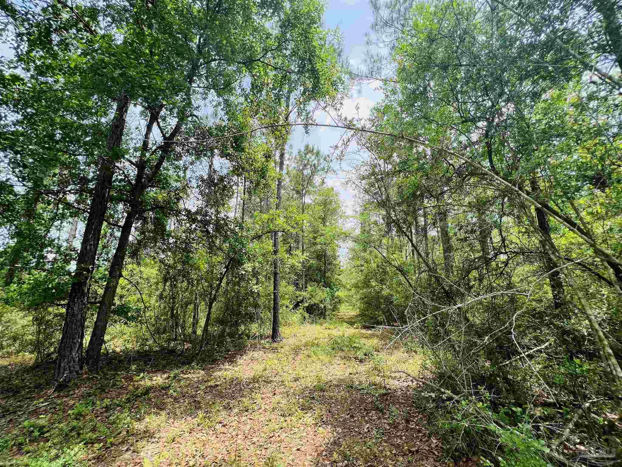 Lot 35 Buffalo Ridge Road Pace, FL 32571 - Photo 17 of 31