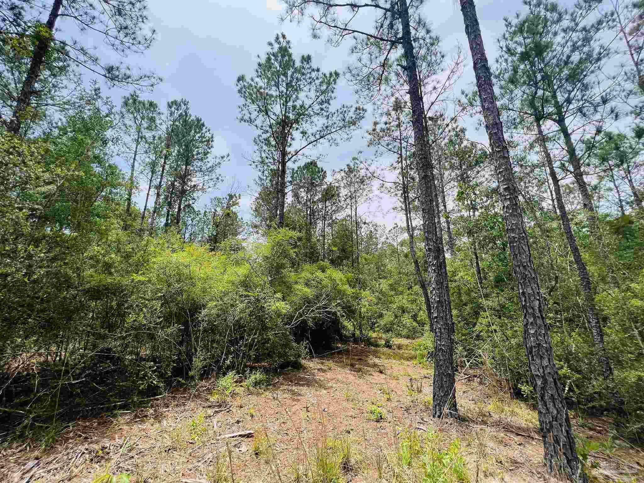 Lot 35 Buffalo Ridge Road Pace, FL 32571 - Photo 18 of 31