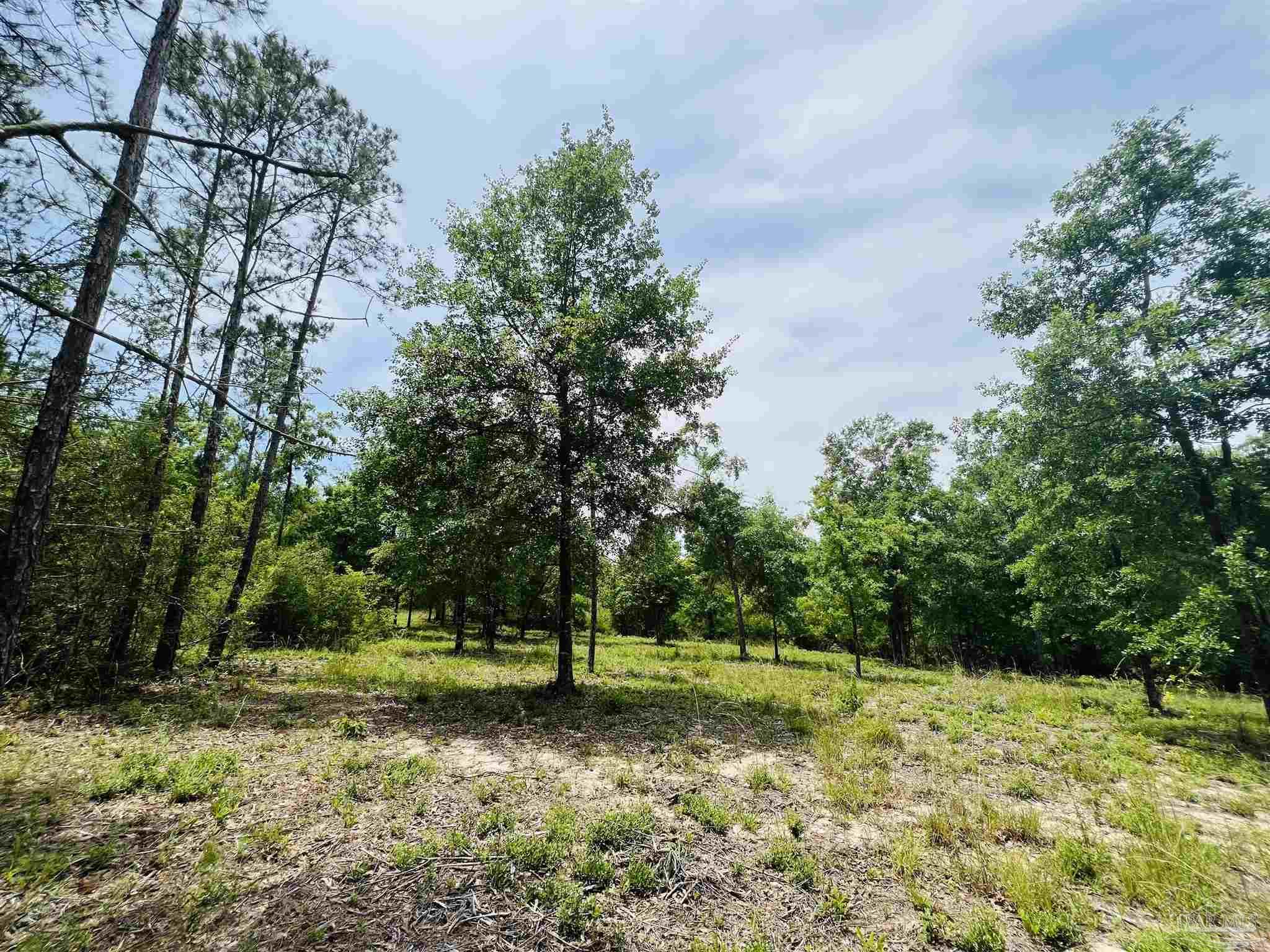 Lot 35 Buffalo Ridge Road Pace, FL 32571 - Photo 19 of 31