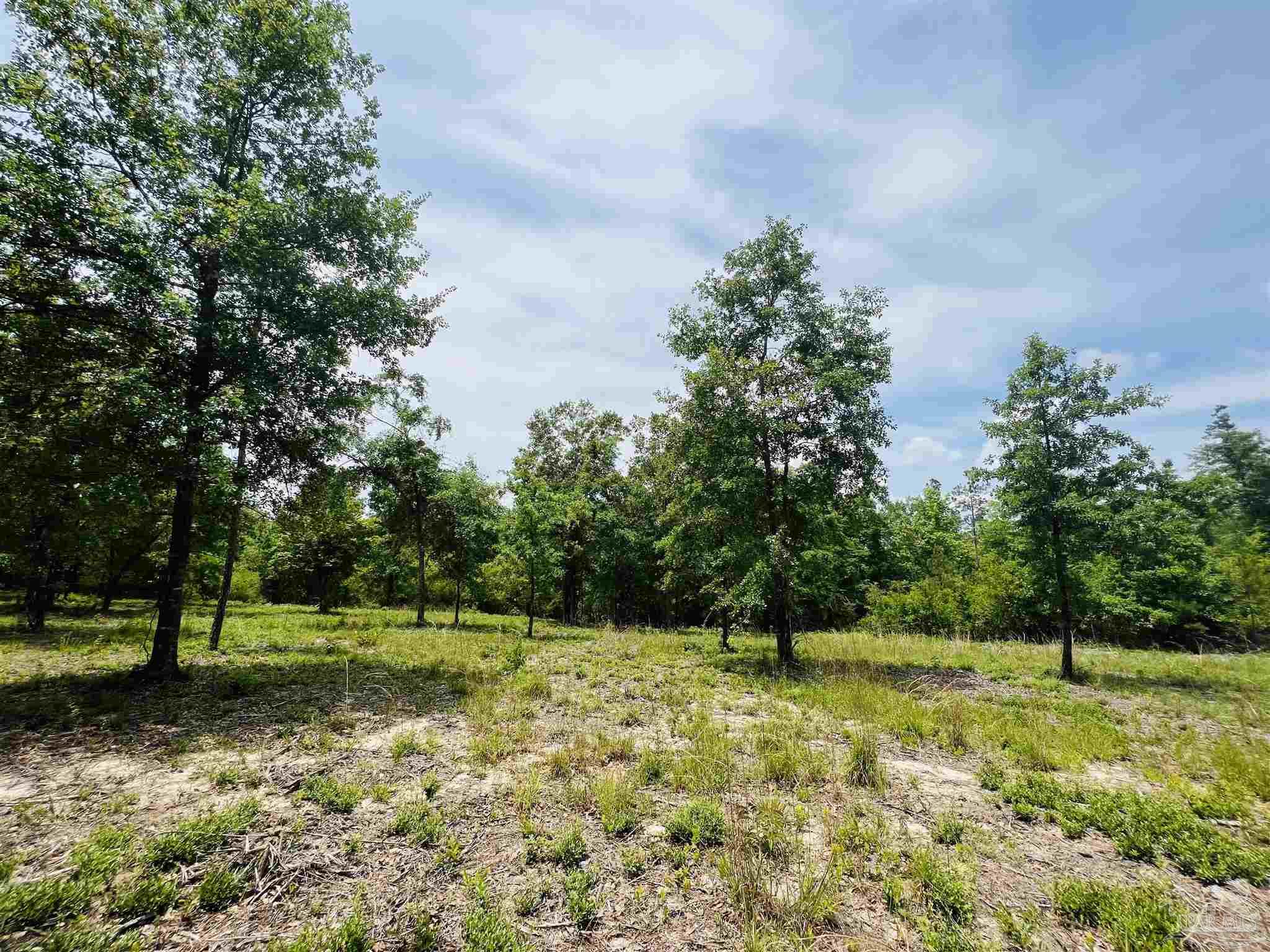 Lot 35 Buffalo Ridge Road Pace, FL 32571 - Photo 20 of 31