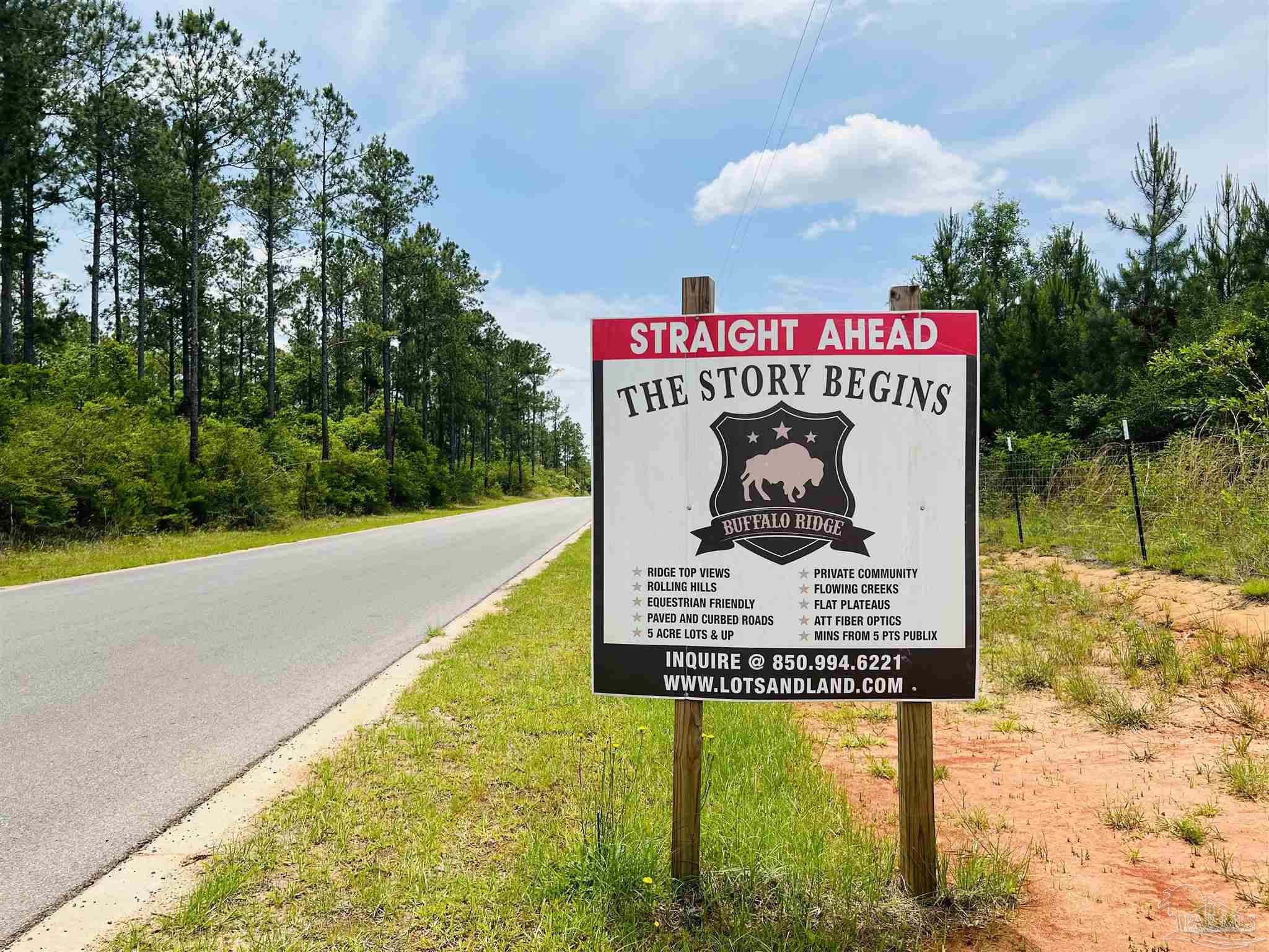 Lot 35 Buffalo Ridge Road Pace, FL 32571 - Photo 2 of 31