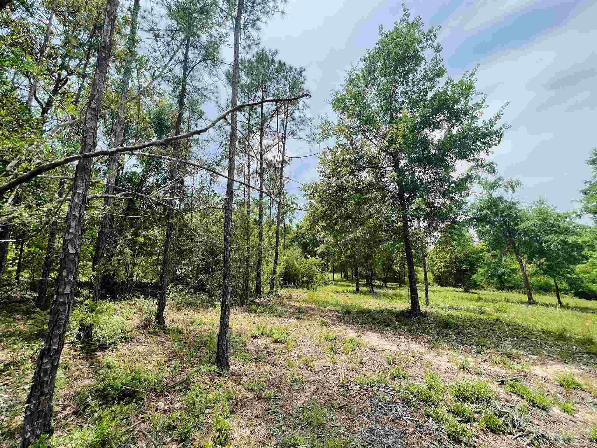 Lot 35 Buffalo Ridge Road Pace, FL 32571 - Photo 21 of 31