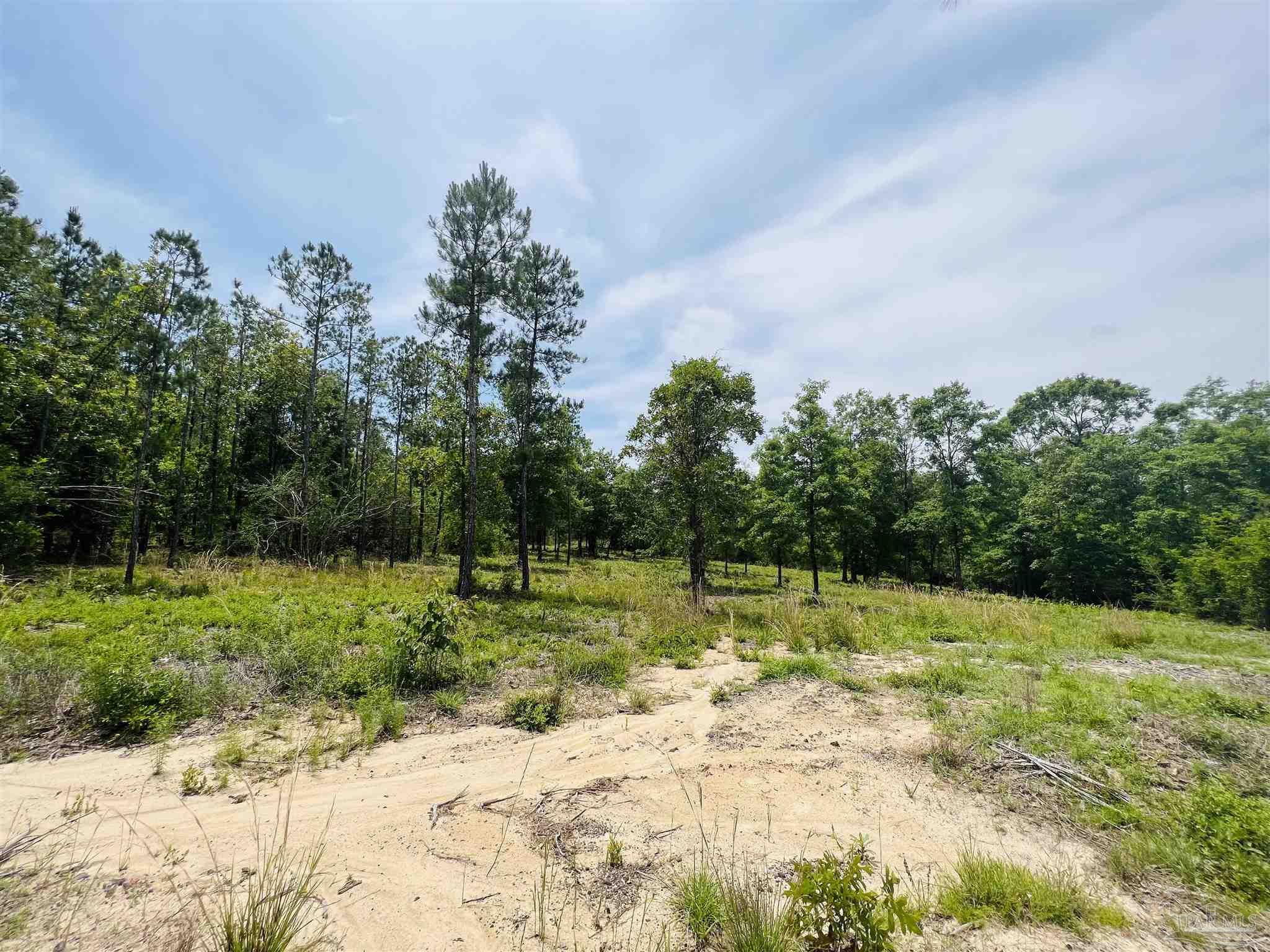 Lot 35 Buffalo Ridge Road Pace, FL 32571 - Photo 22 of 31