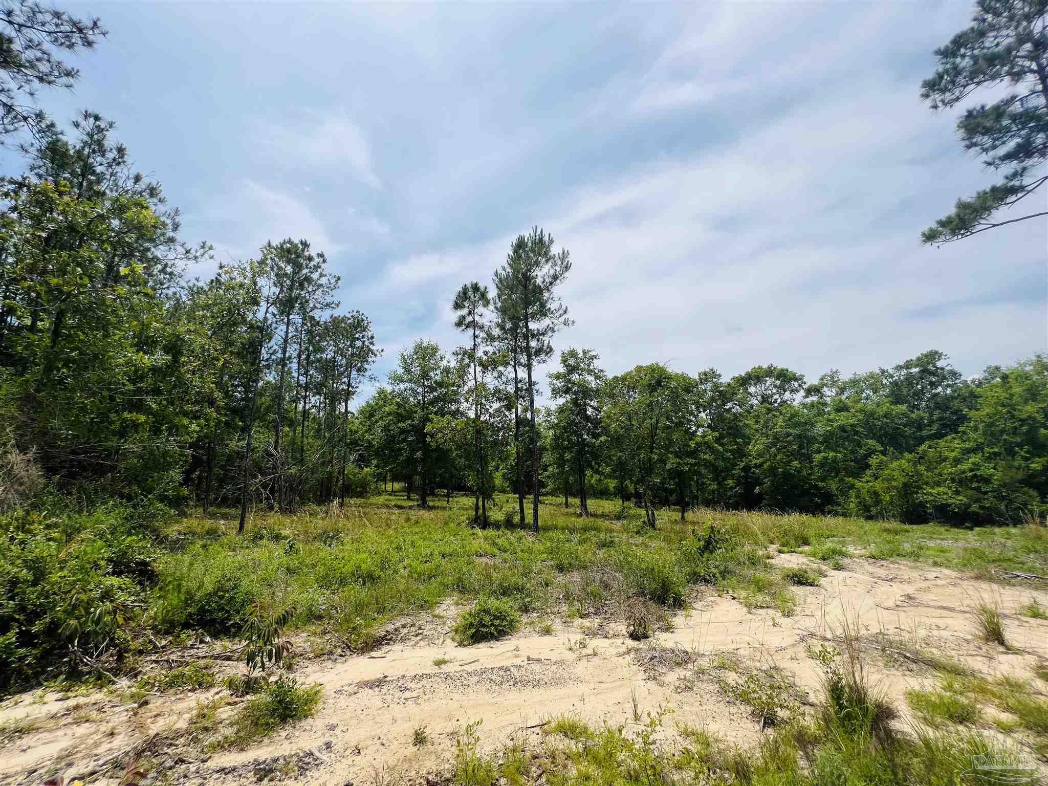 Lot 35 Buffalo Ridge Road Pace, FL 32571 - Photo 23 of 31