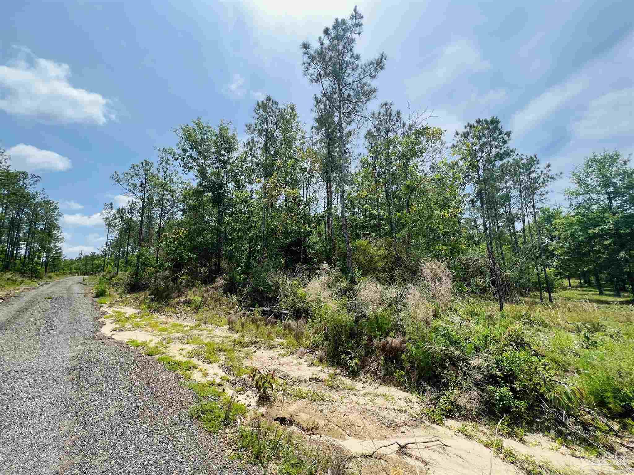 Lot 35 Buffalo Ridge Road Pace, FL 32571 - Photo 24 of 31