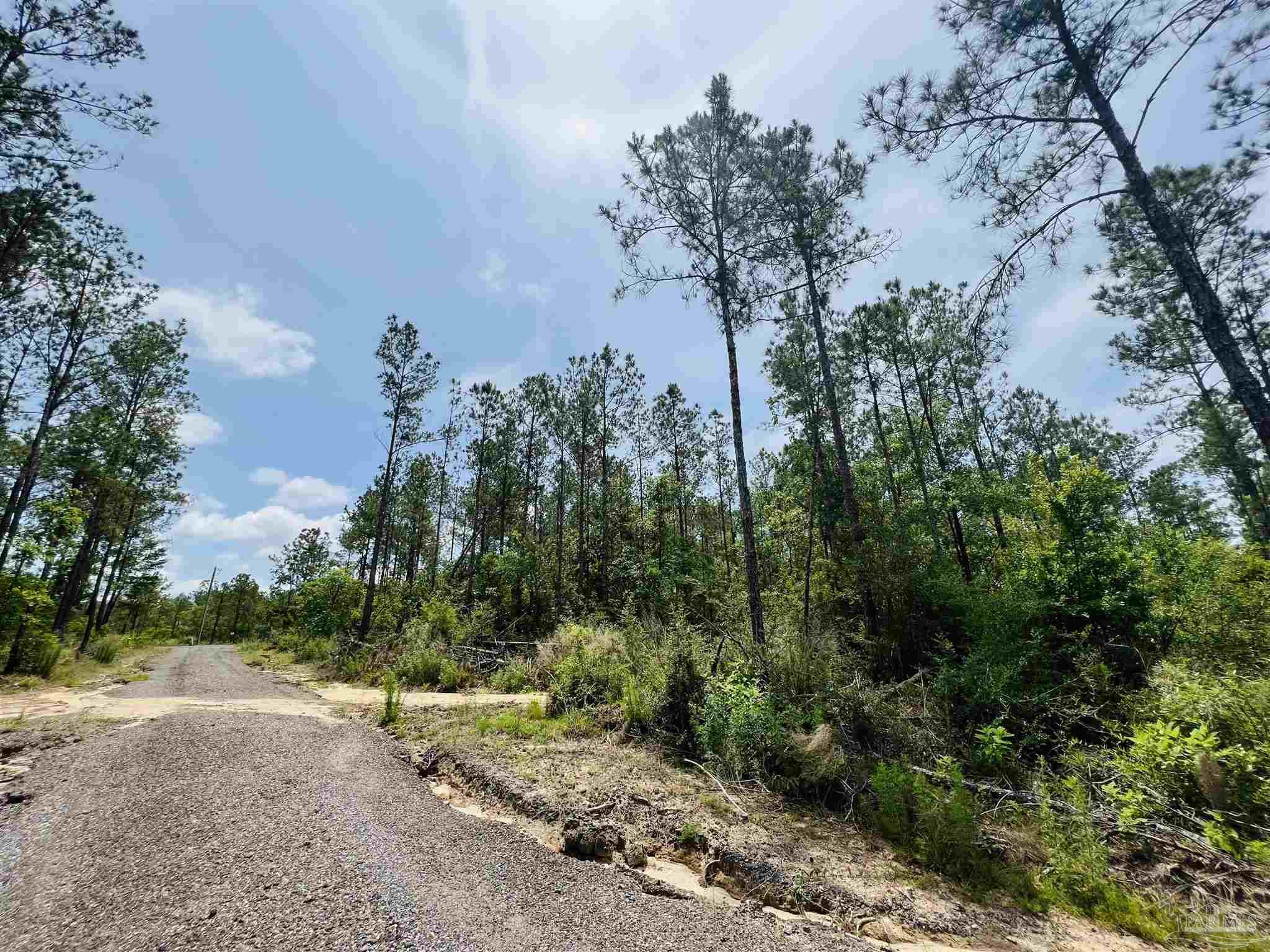 Lot 35 Buffalo Ridge Road Pace, FL 32571 - Photo 25 of 31