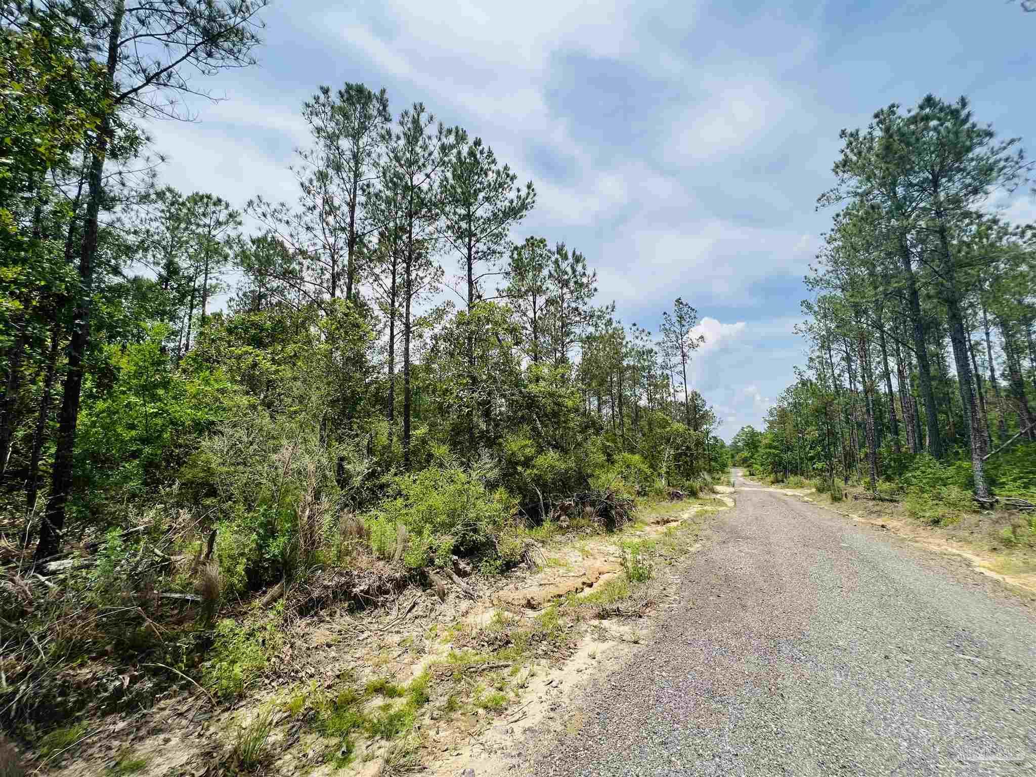 Lot 35 Buffalo Ridge Road Pace, FL 32571 - Photo 26 of 31