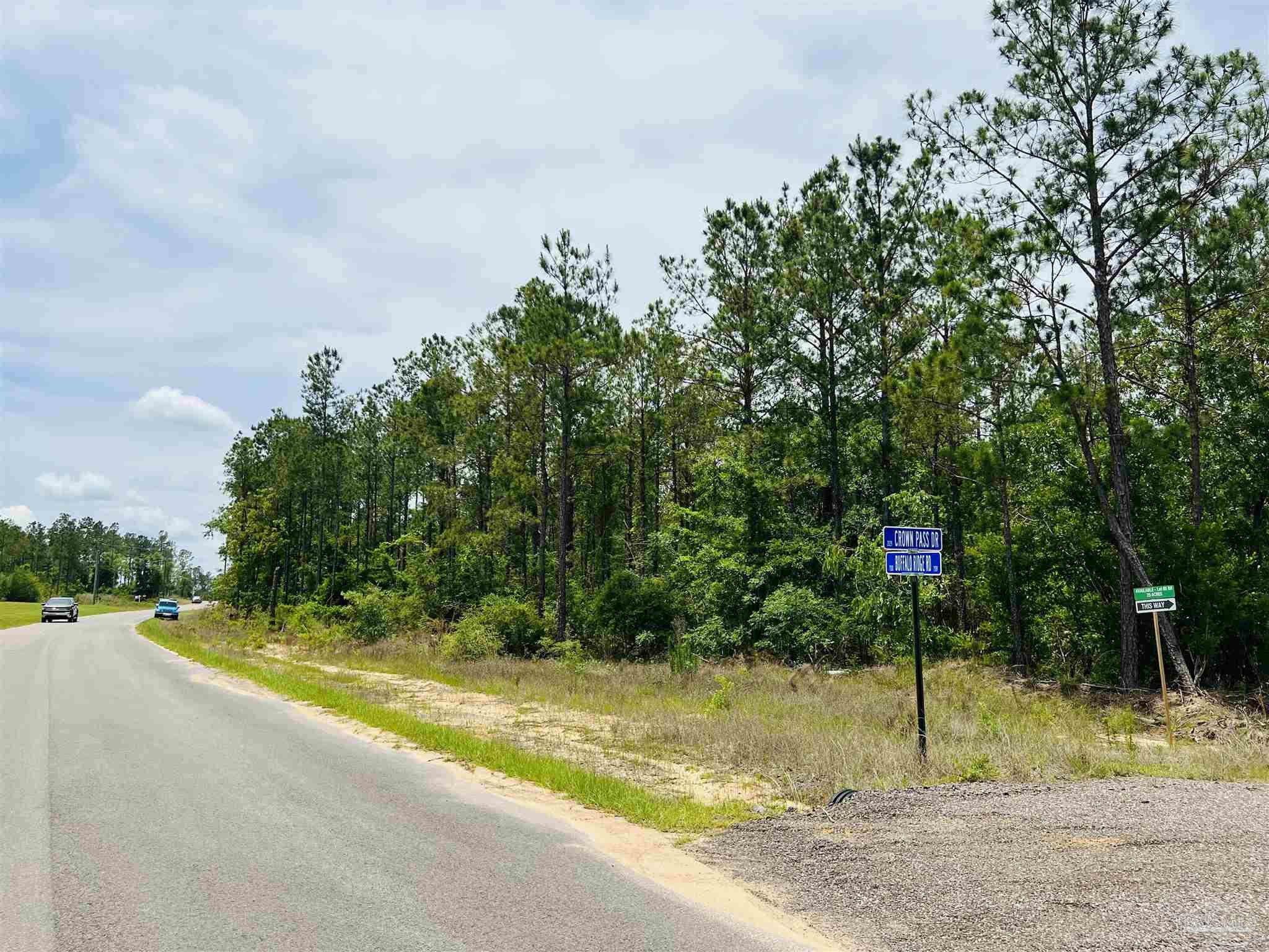 Lot 35 Buffalo Ridge Road Pace, FL 32571 - Photo 27 of 31
