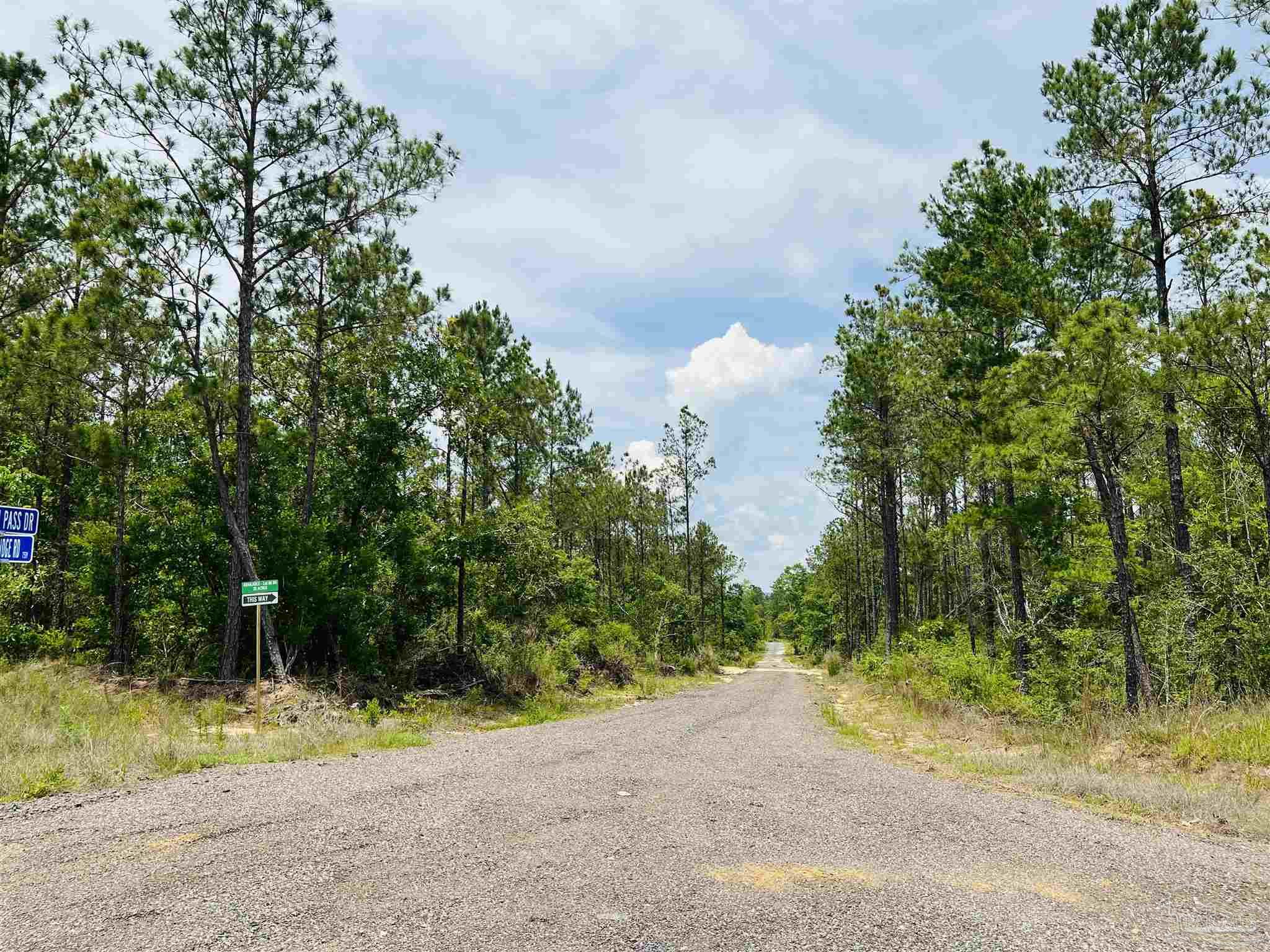 Lot 35 Buffalo Ridge Road Pace, FL 32571 - Photo 28 of 31