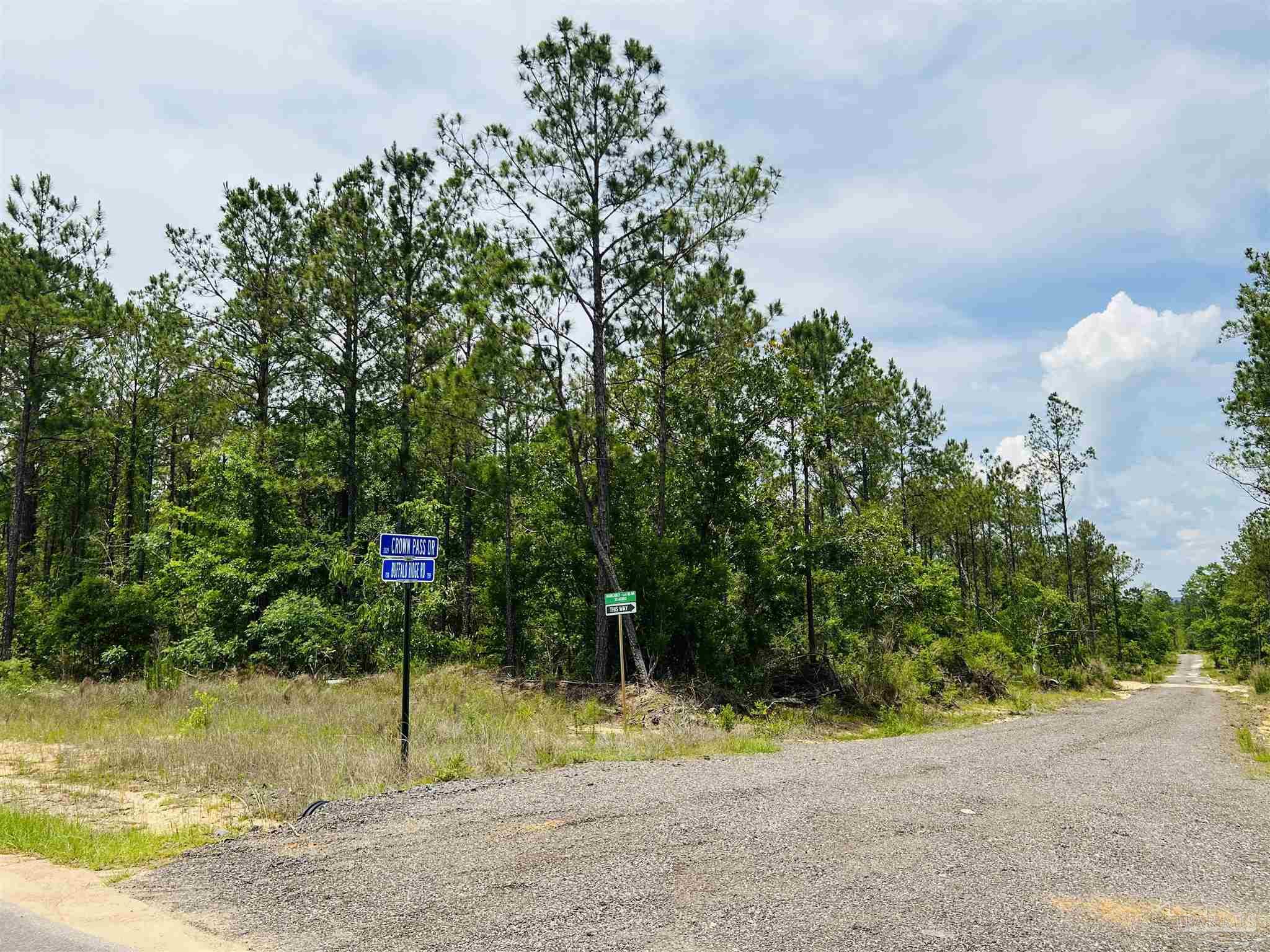 Lot 35 Buffalo Ridge Road Pace, FL 32571 - Photo 29 of 31