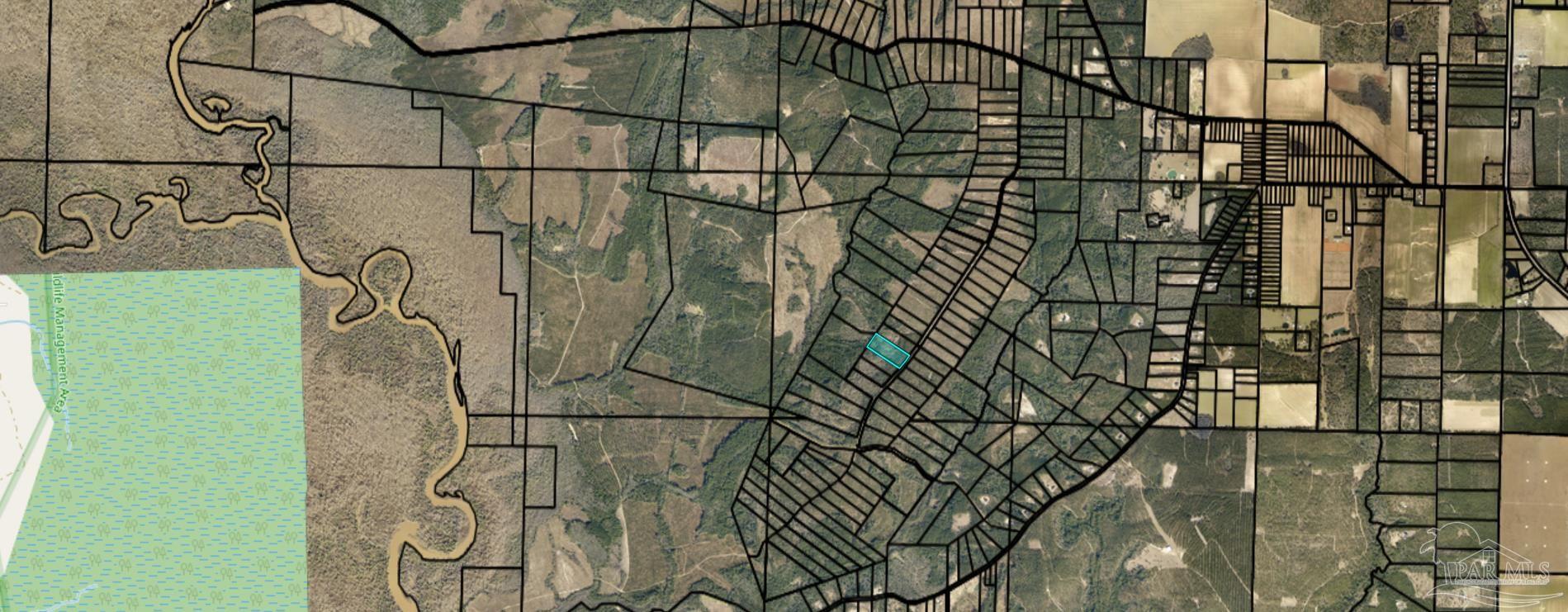 Lot 35 Buffalo Ridge Road Pace, FL 32571 - Photo 3 of 31
