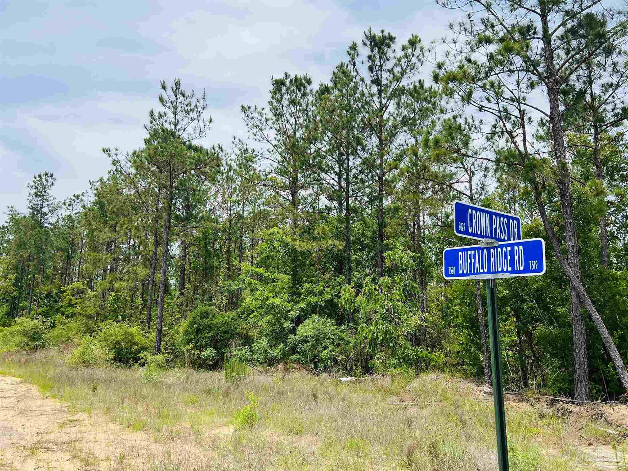 Lot 35 Buffalo Ridge Road Pace, FL 32571 - Photo 4 of 31