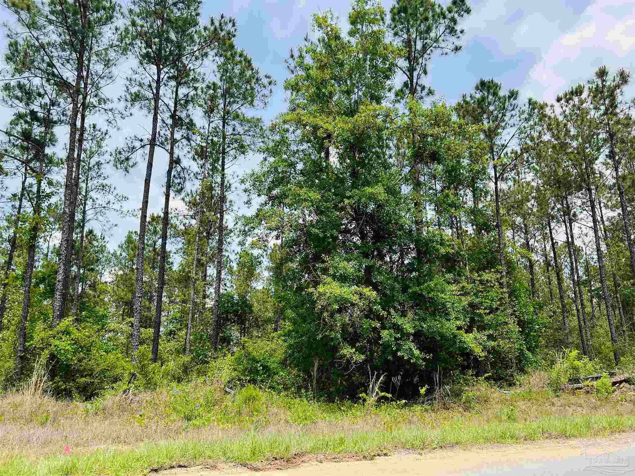 Lot 35 Buffalo Ridge Road Pace, FL 32571 - Photo 5 of 31