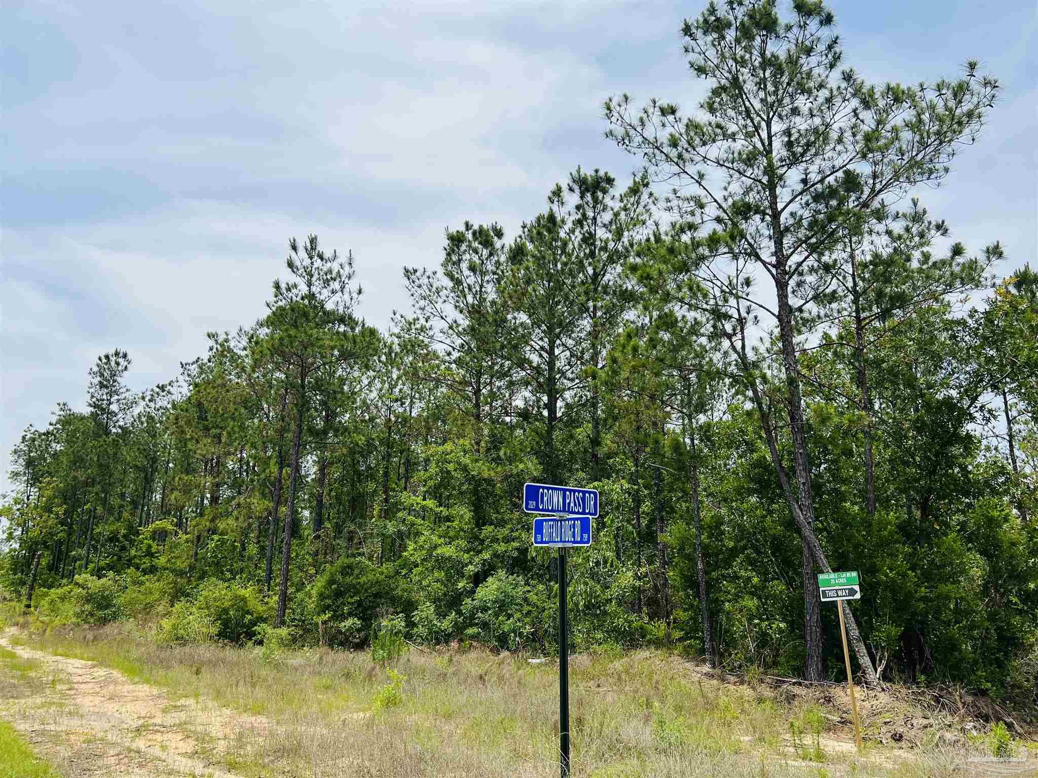 Lot 35 Buffalo Ridge Road Pace, FL 32571 - Photo 6 of 31
